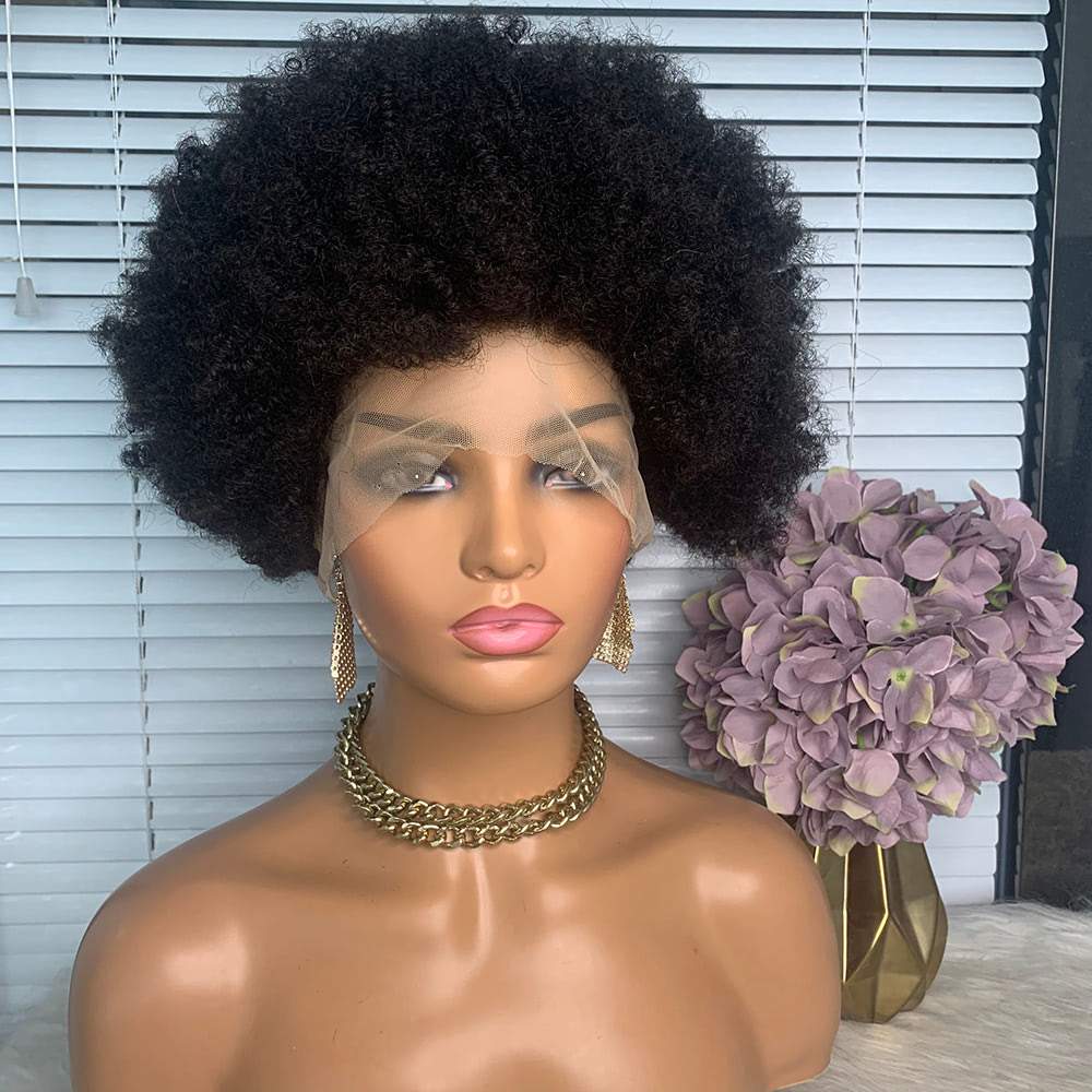 Afro Curly Wigs for Black Women Human Hair Bouncy and Soft Natural Looking