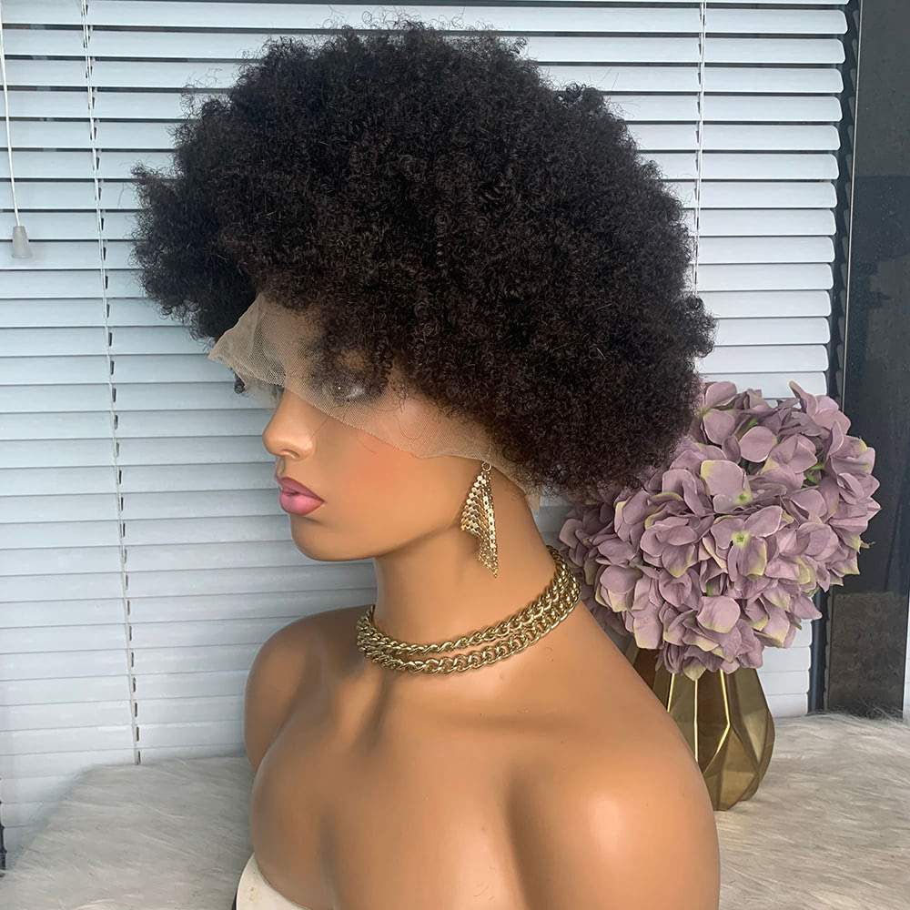 Afro Curly Wigs for Black Women 360 Lace Wig 100% Human Hair Bouncy and Soft Natural Looking
