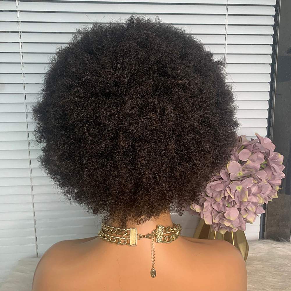 Afro Curly Wigs for Black Women 360 Lace Wig 100% Human Hair Bouncy and Soft Natural Looking