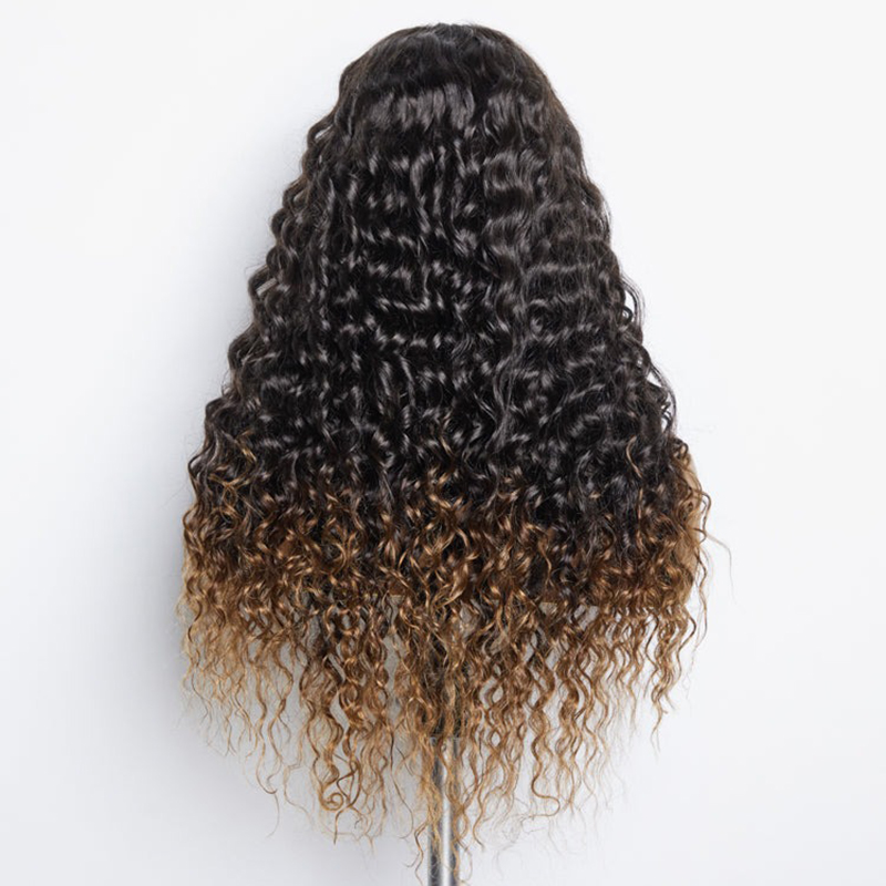 Brown Ombre Highlights Water Wave Glueless 5x5 Closure HD Lace Wig